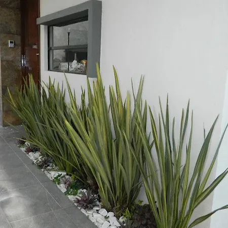 Apartamento Don Pedro 2 * 阿利坎特