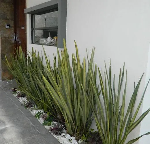 Apartamento Don Pedro 2 * Alicante